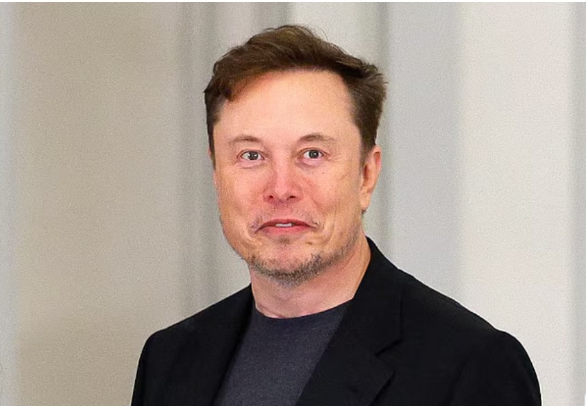ইলন মাস্ক