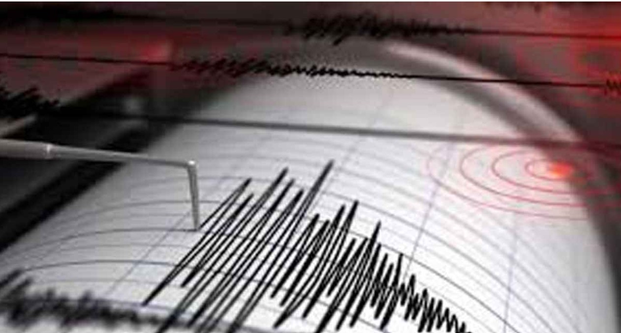  ভূমিকম্প